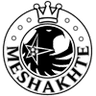 FC Meshakhte Tkibuli logo