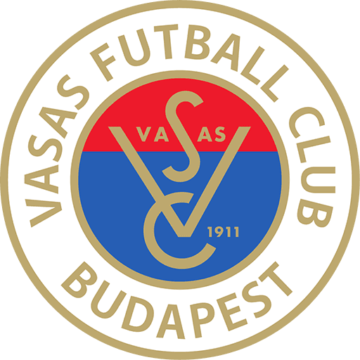 Vasas FC logo