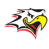Vaasan Sport logo