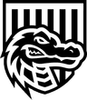 Cyber Hero logo