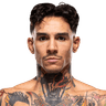 Andre Fili logo