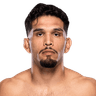 Danny Silva logo
