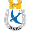 Dungannon Swifts logo