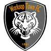 Worksop Town logo