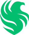 Falcons logo