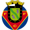 FC Felgueiras 1932 logo