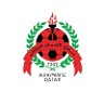 Al Rayyan SC logo