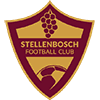 Stellenbosch FC logo