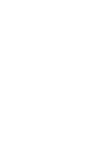 Falkirk FC logo