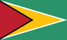 Guyana logo