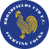 Broadfields United FC logo