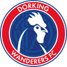 Dorking Wanderers FC logo