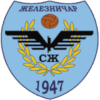 FK Zeleznicar Pancevo logo