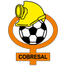 Cobresal logo