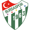 Bursaspor logo