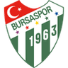 Bursaspor logo