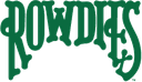 Tampa Bay Rowdies logo