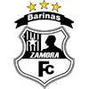 Zamora FC logo