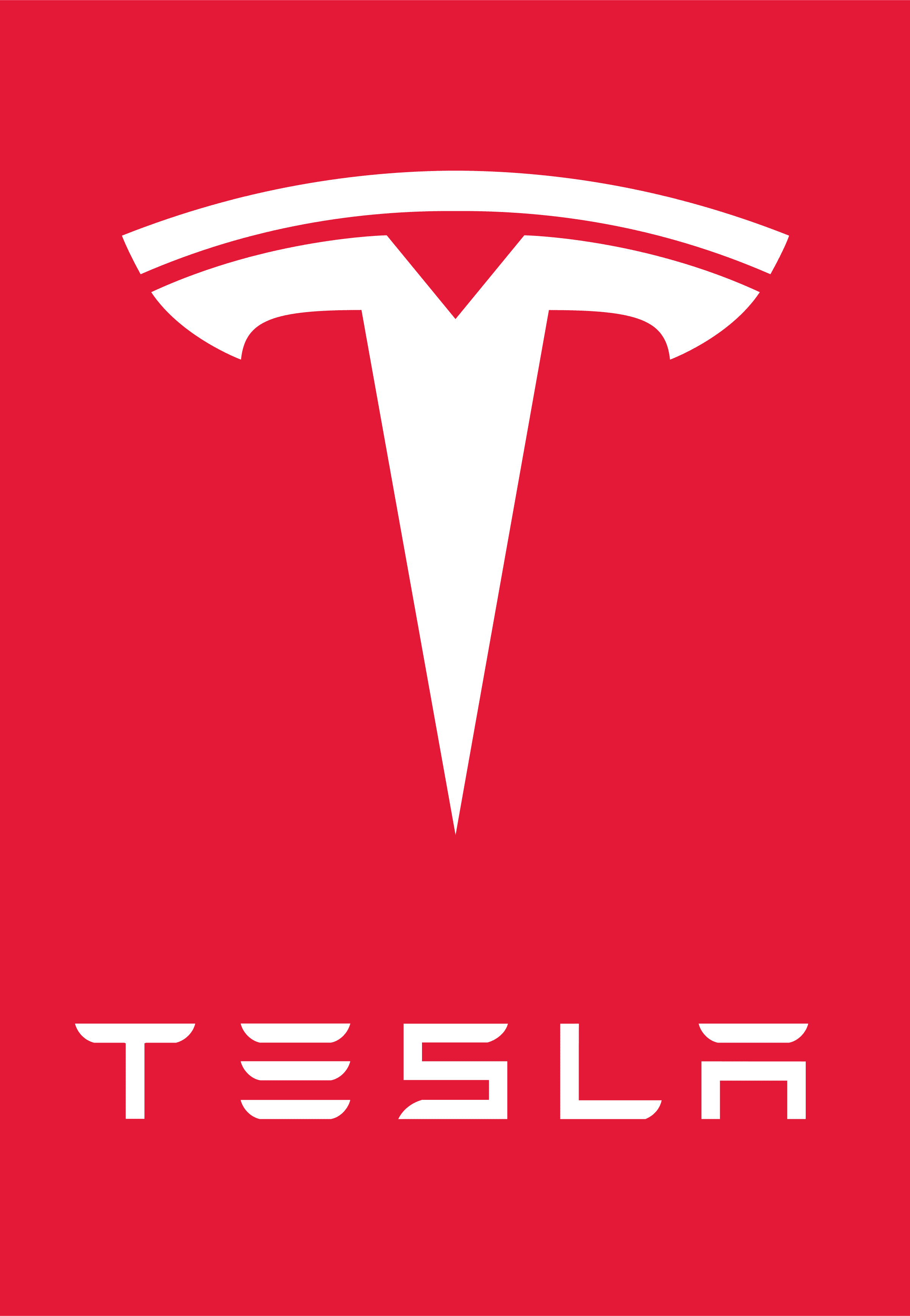 Will Tesla, Inc. (TSLA) hit (LOW) $255 in September? market image