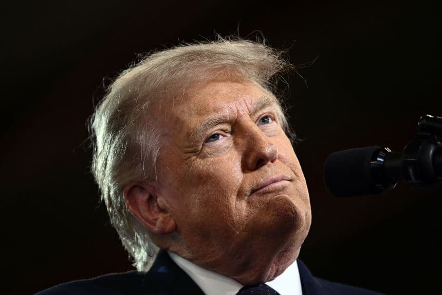 Will Trump say "Dog" in June? market image