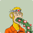 Profile picture for wallet 0x5cf0…9363
