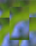 Profile picture for wallet 0x0d19…c745
