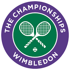 Will Novak Djokovic win Wimbledon? market image