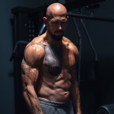 Will Andrew Tate post 490-519 posts from March 3 to March 10, 2026? market image