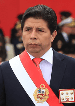 Pedro Castillo pardoned in 2026? market image