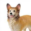 Profile picture for wallet 0x4b0f…840e