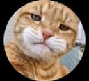Profile picture for wallet 0x5088…8844
