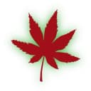 Profile picture for wallet 0x964f…ea70