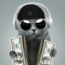 gato-nekrom