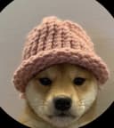 Profile picture for wallet 0x9ecc…6b37