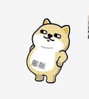 Profile picture for wallet 0x999f…895a