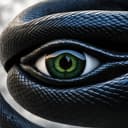 Profile picture for wallet 0xc230…7f42