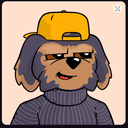 Profile picture for wallet 0xa446…d9c6