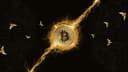 Profile picture for wallet 0x879a…bee8