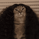cucurella-