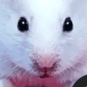 Profile picture for wallet 0xc790…e08b