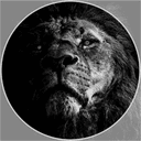 Profile picture for wallet 0x1385…d872