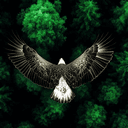 Profile picture for wallet 0x35a4…c980