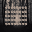 Profile picture for wallet 0x2564…08c2