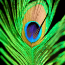Profile picture for wallet 0xa3e8…9cbe