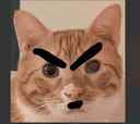 Profile picture for wallet 0xd8bb…27f9