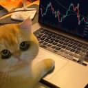 Profile picture for wallet 0xfbdf…f7d1