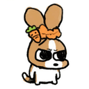 Profile picture for wallet 0x578e…1644
