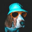 Profile picture for wallet 0xb57c…044a