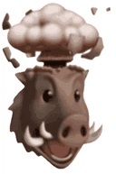 Profile picture for wallet 0x51a5…4376