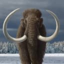 Profile picture for wallet 0x86db…30b8